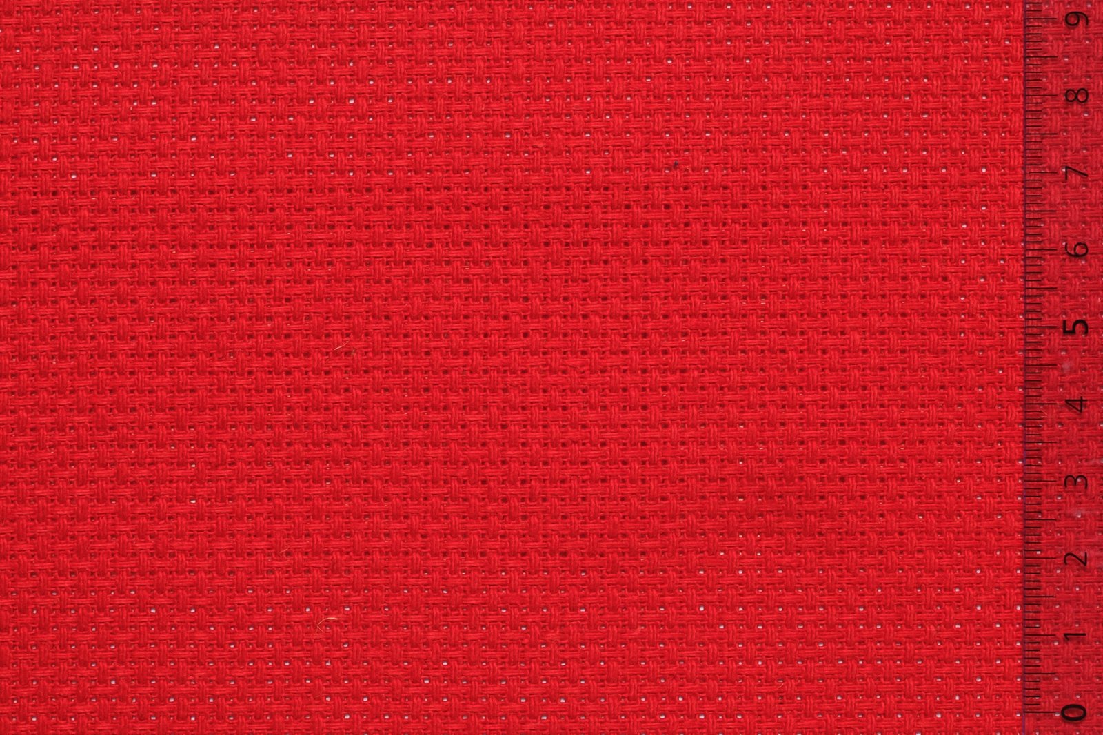 06AID40REDxxxCOT[AIDAMAS 40](RED)F